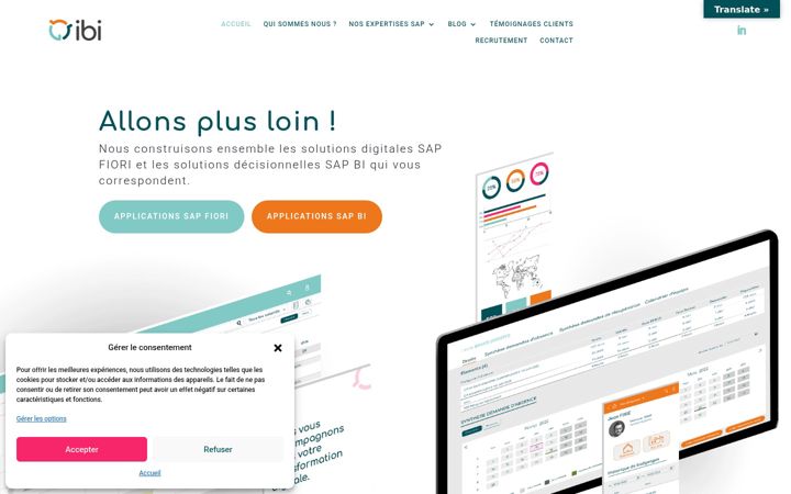 Capture d'écran de ibi-conseil.com