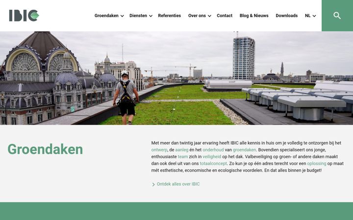 Screenshot of ibic.be