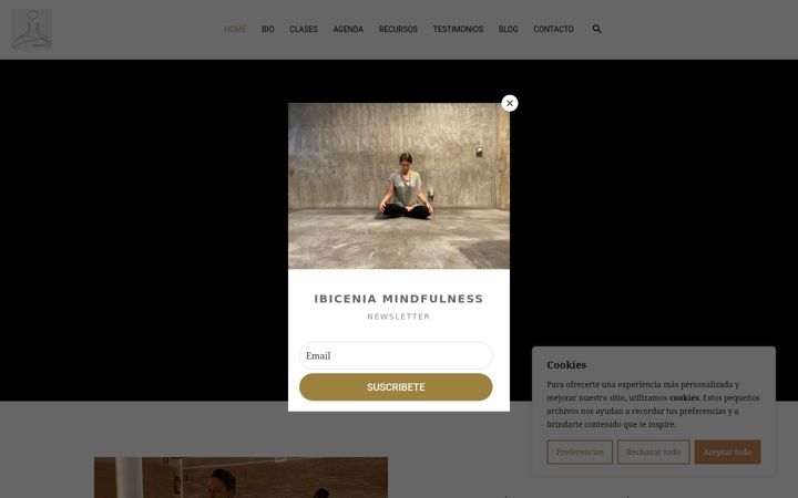 Screenshot of ibicenia.com