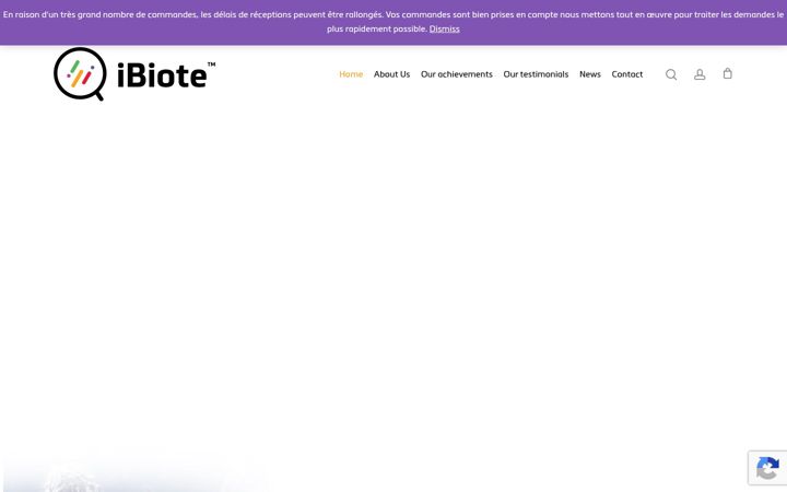 Screenshot of ibiote.com