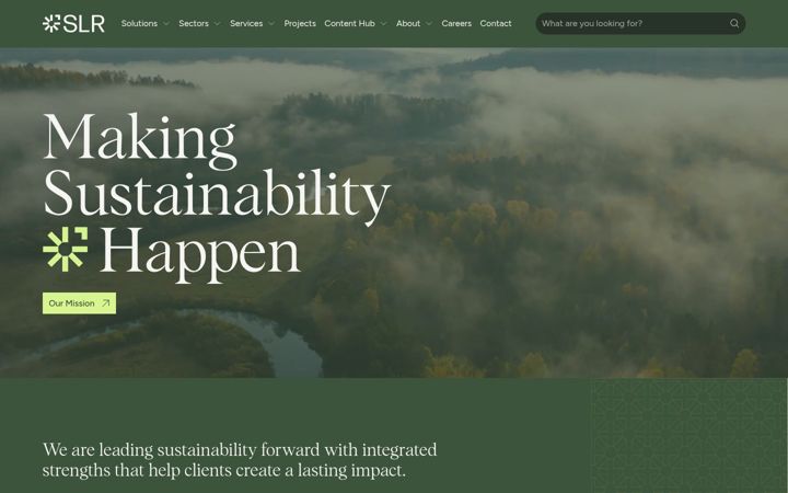 Screenshot of ibisconsulting.com