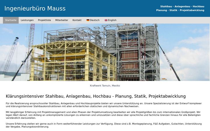 Screenshot of ibmauss.de