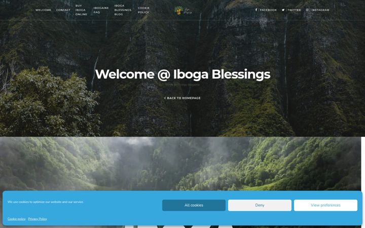 Screenshot of ibogablessings.com