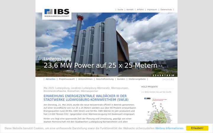 Screenshot of ibs-ing.com