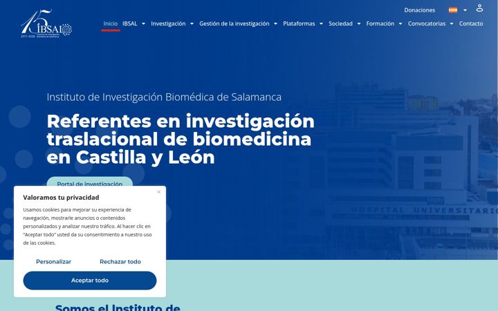 Screenshot of ibsal.es