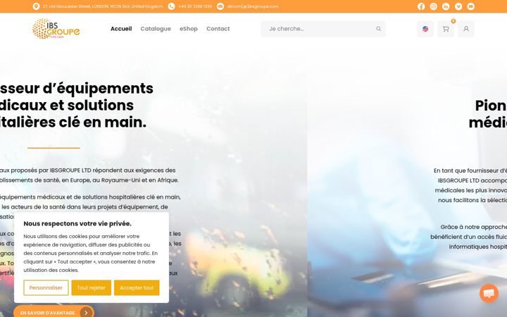 Screenshot of ibsgroupe.com