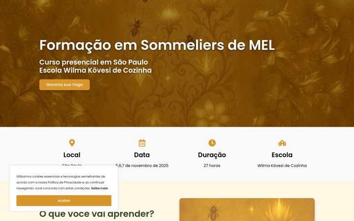 Screenshot of ibsmel.com.br