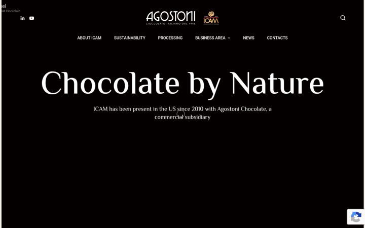 Screenshot of icamchocolateus.com