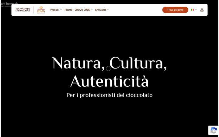 Screenshot of icamprofessionale.com