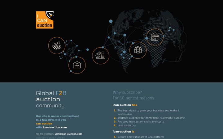 Screenshot of ican-auction.com