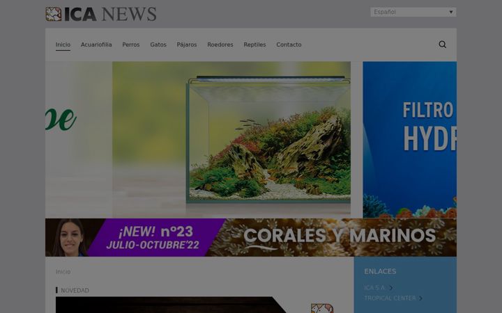 Screenshot of icanews.es