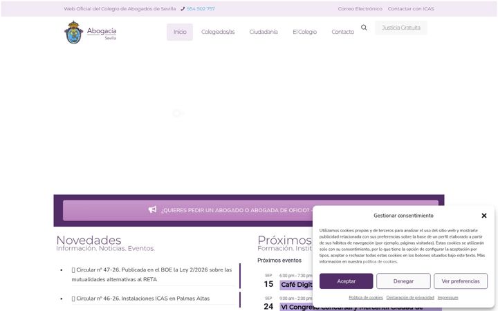 Screenshot of icas.es