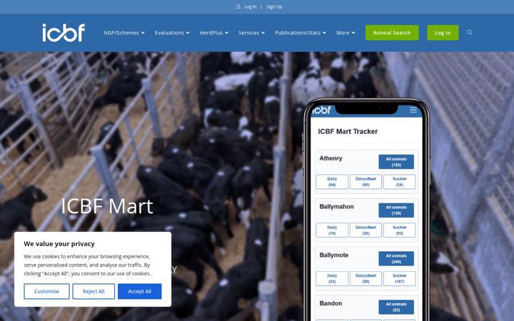 Screenshot of icbf.com
