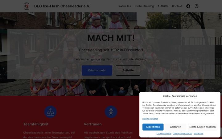 Screenshot of ice-flash.de