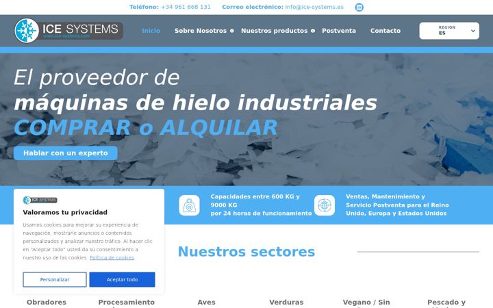 Screenshot of ice-systems.es