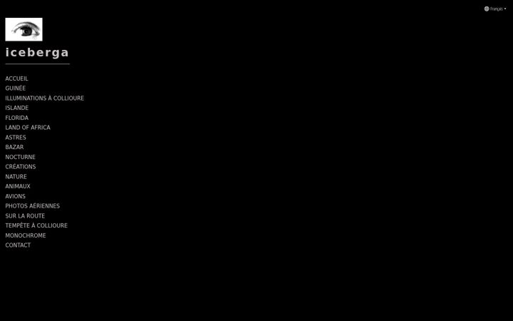 Screenshot of iceberga.com