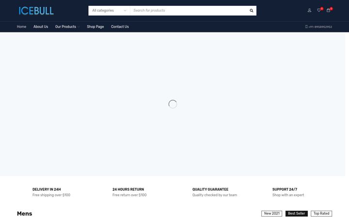 Screenshot of icebull.in