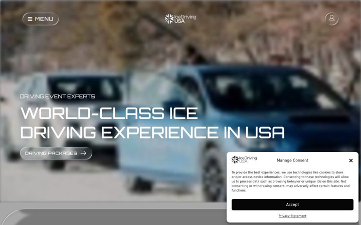 Screenshot of icedrivingusa.com