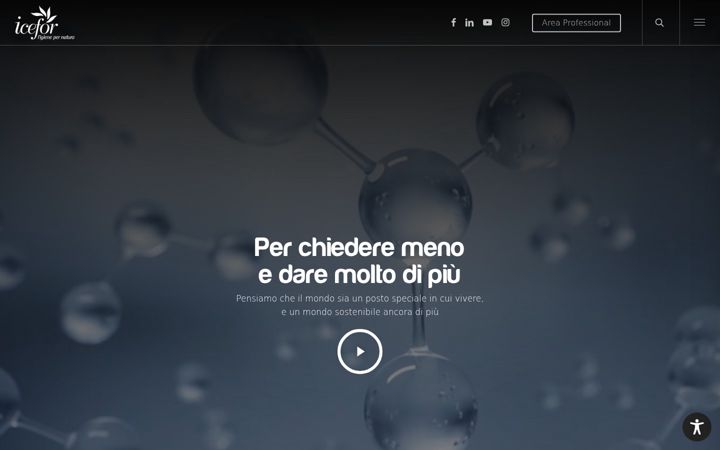 Screenshot of icefor.com