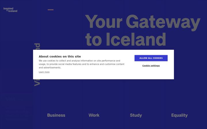 Ekrano kopija iceland.is