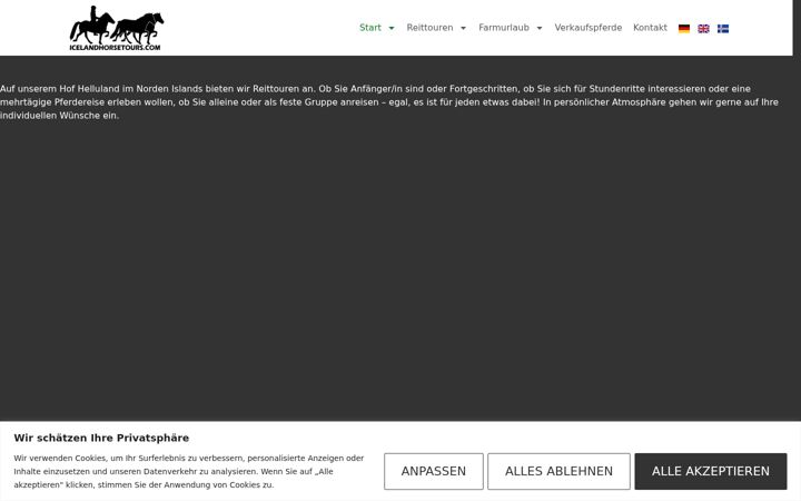 Skærmbillede af icelandhorsetours.com