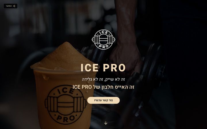 Screenshot of icepro.org.il