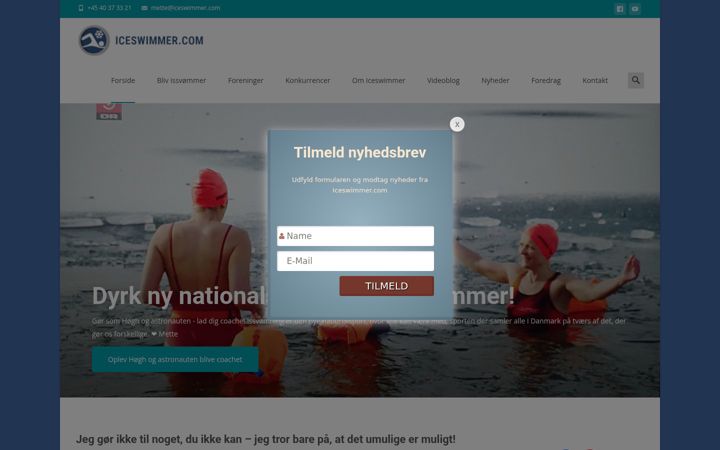Screenshot of iceswimmer.com