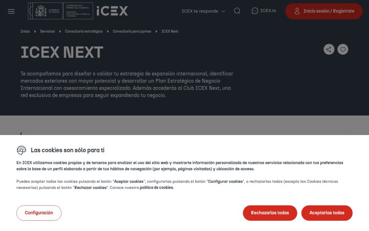 Screenshot of icexnext.es
