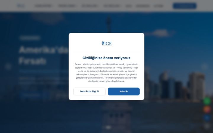 Screenshot of iceyurtdisiegitim.com