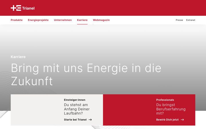 Screenshot of ich-bin-energie.de