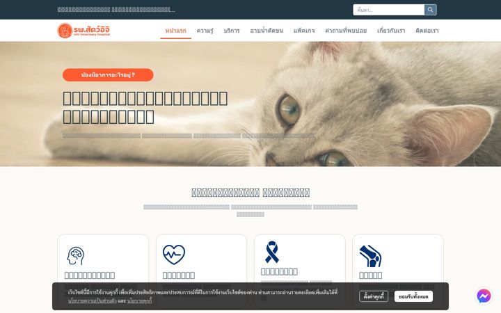 Screenshot of ichihospital.com