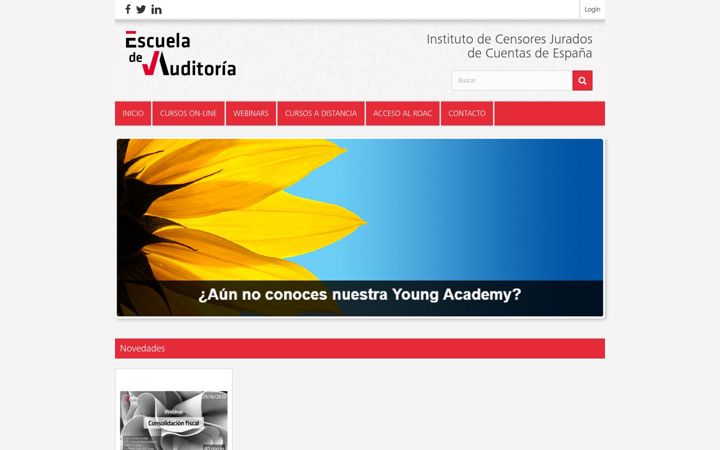 Screenshot of icjce-formacion.es