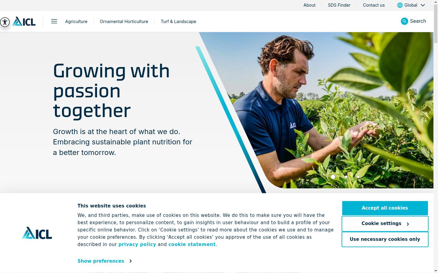 Screenshot of the consent banner shown before any interaction