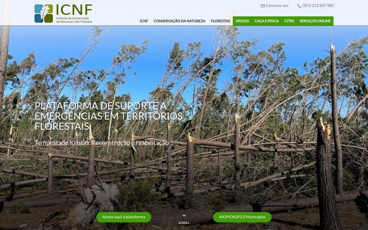 Screenshot of icnf.pt