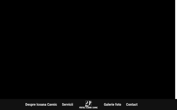 Screenshot of icoanacavnic.ro