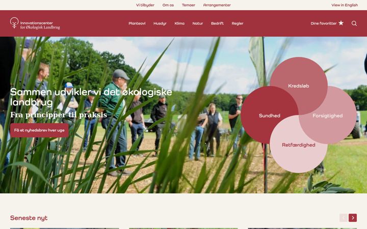Screenshot of icoel.dk