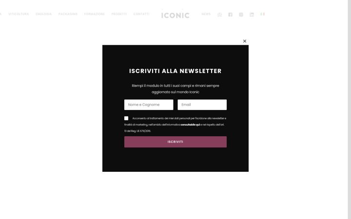 Screenshot of iconicgroup.it