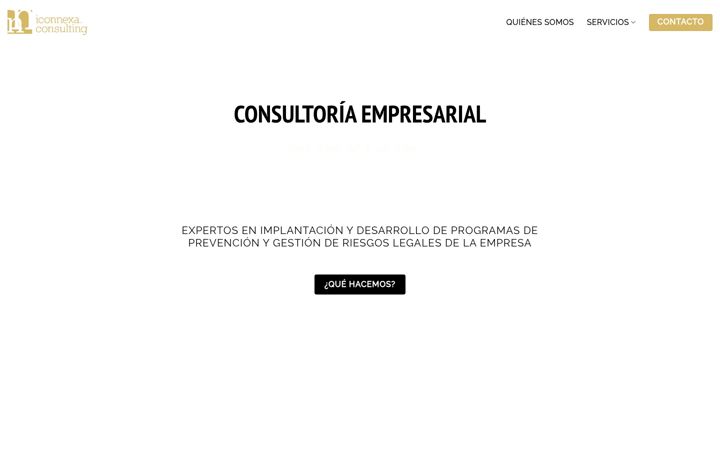 Screenshot of iconnexa.com