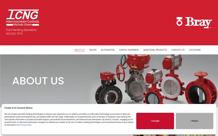 Screenshot of icontrolsng.com