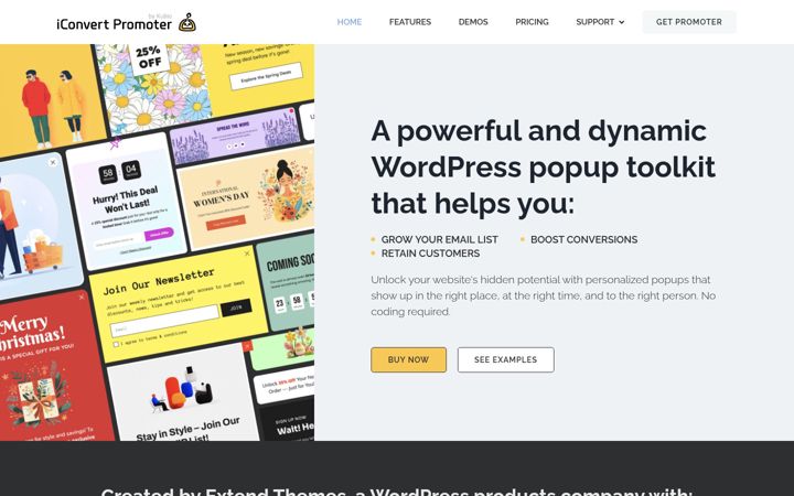 Screenshot of iconvertpromoter.com