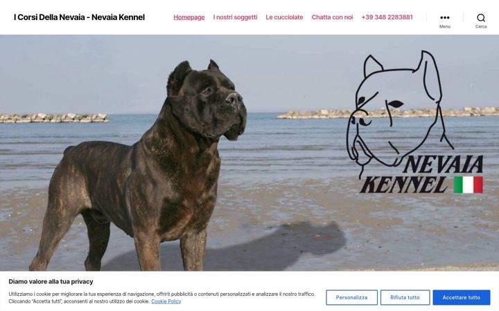 Screenshot of icorsidellanevaia.it
