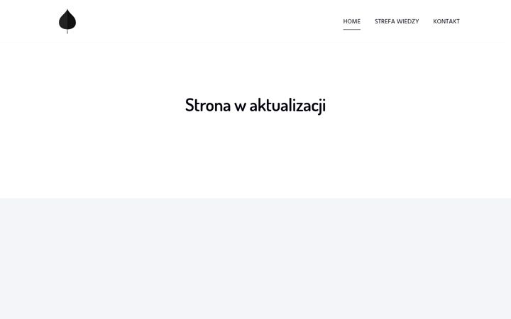 Screenshot of ictone.pl