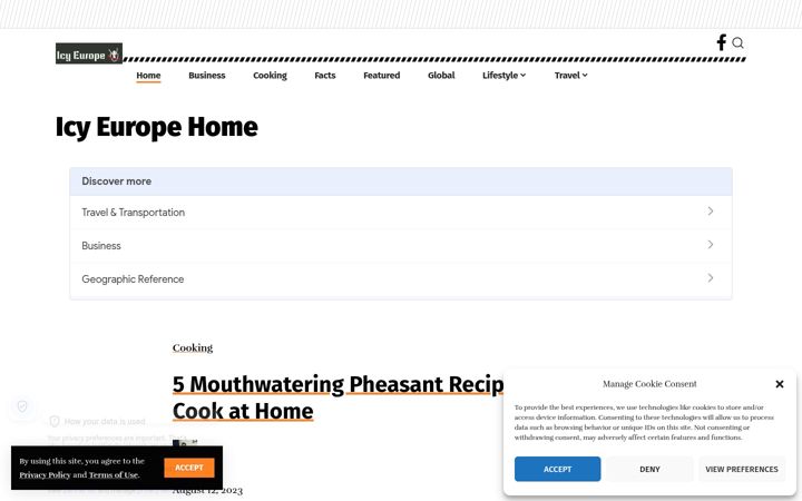 Screenshot of icyeurope.com