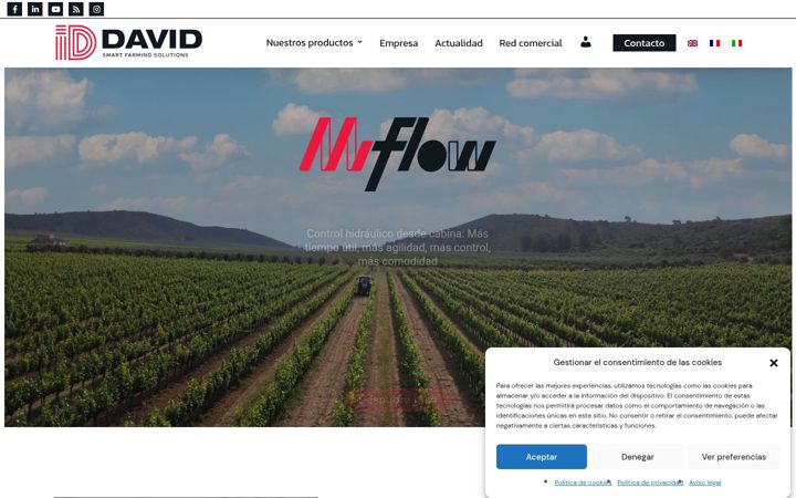 Screenshot of id-david.com