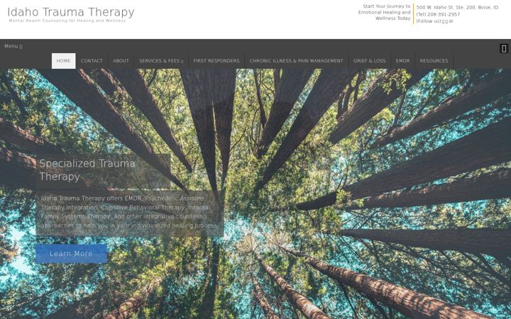 Screenshot του idahotraumaandwellnesstherapy.com