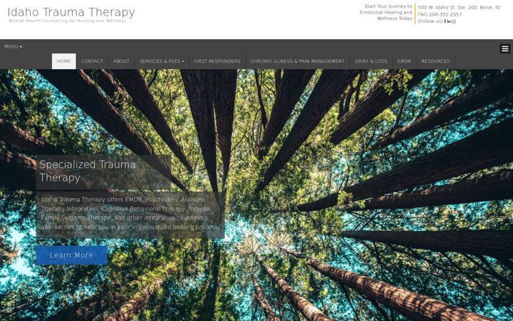 Screenshot του idahotraumatherapy.com