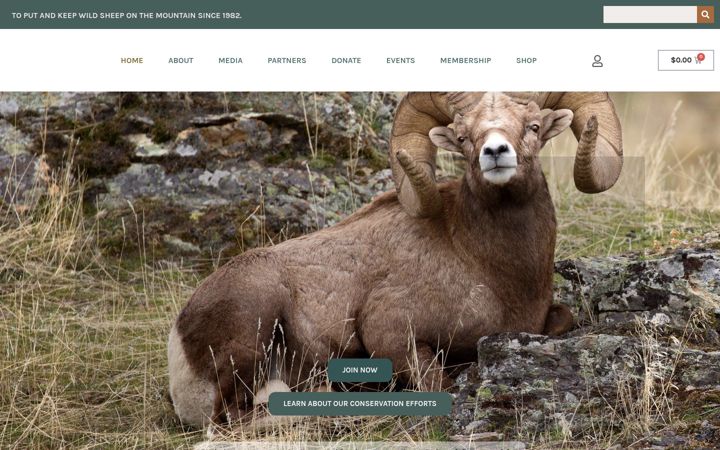 Screenshot of idahowildsheep.org