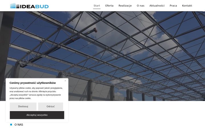 Screenshot of ideabud.pl