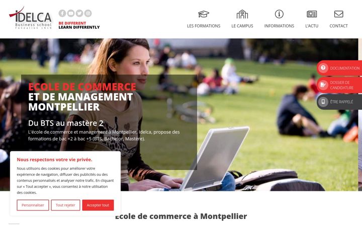 Screenshot of idelca.fr