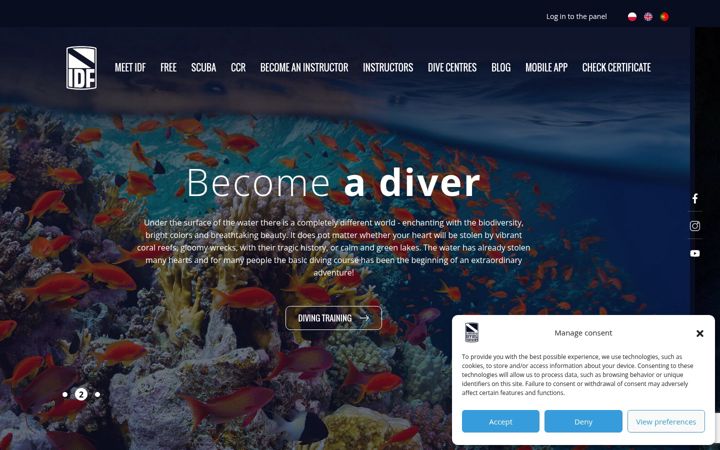 Screenshot of idf-global.com